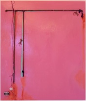 Memory of a Pink